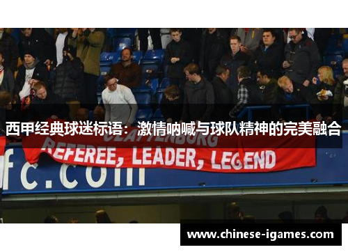 西甲经典球迷标语：激情呐喊与球队精神的完美融合